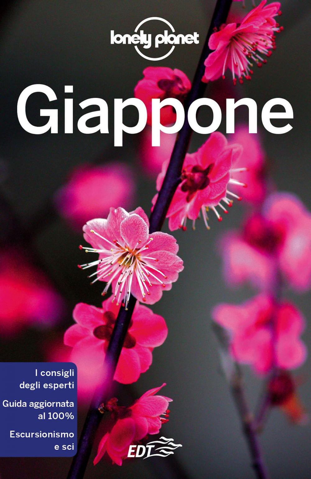 Big bigCover of Giappone