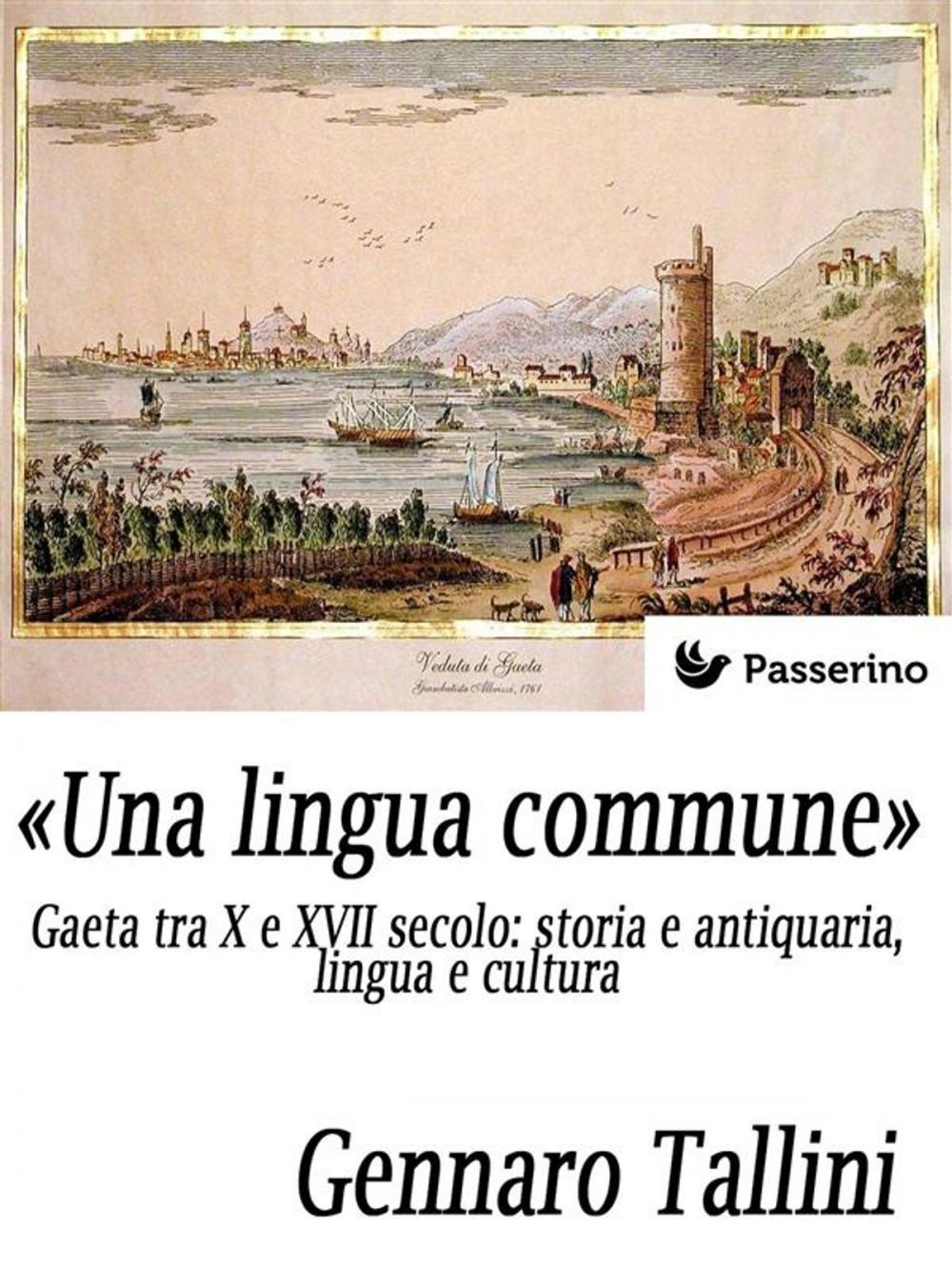 Big bigCover of «Una lingua commune»