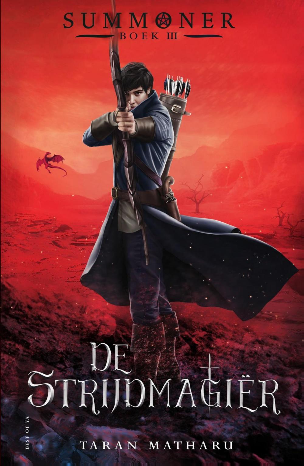 Big bigCover of De strijdmagiër