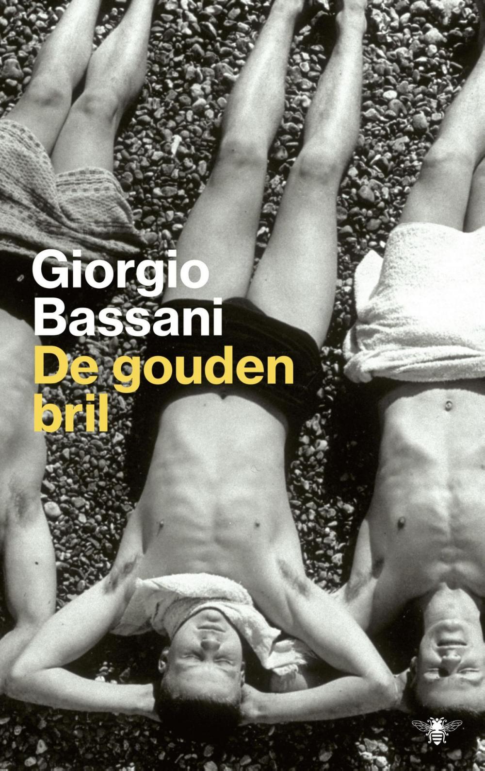 Big bigCover of De gouden bril