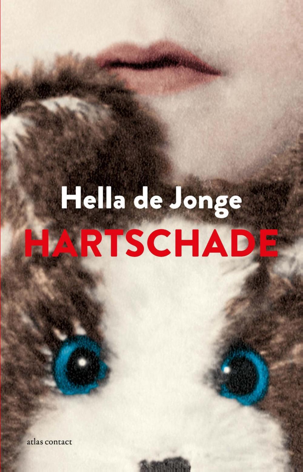 Big bigCover of Hartschade