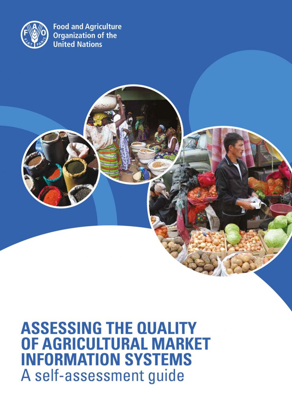 Big bigCover of Assessing the Quality of Agricultural Market Information Systems: A Self-assessment Guide