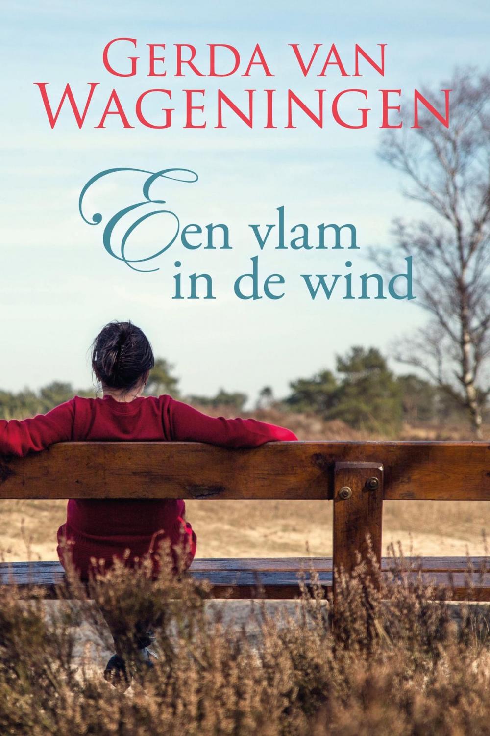 Big bigCover of Een vlam in de wind