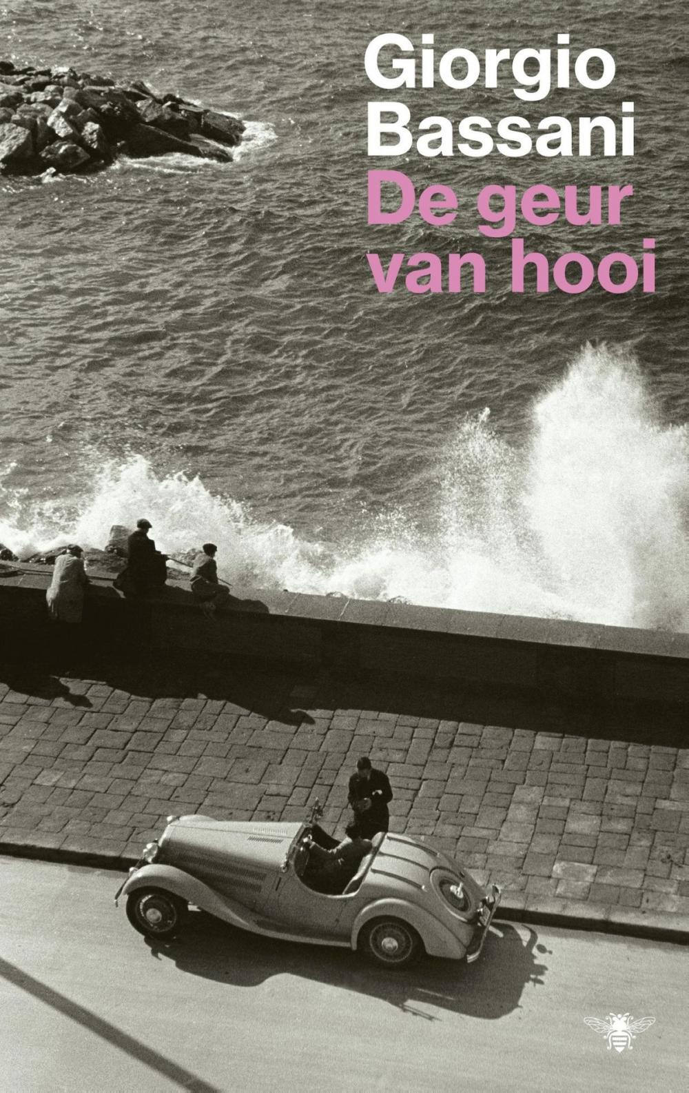 Big bigCover of De geur van hooi