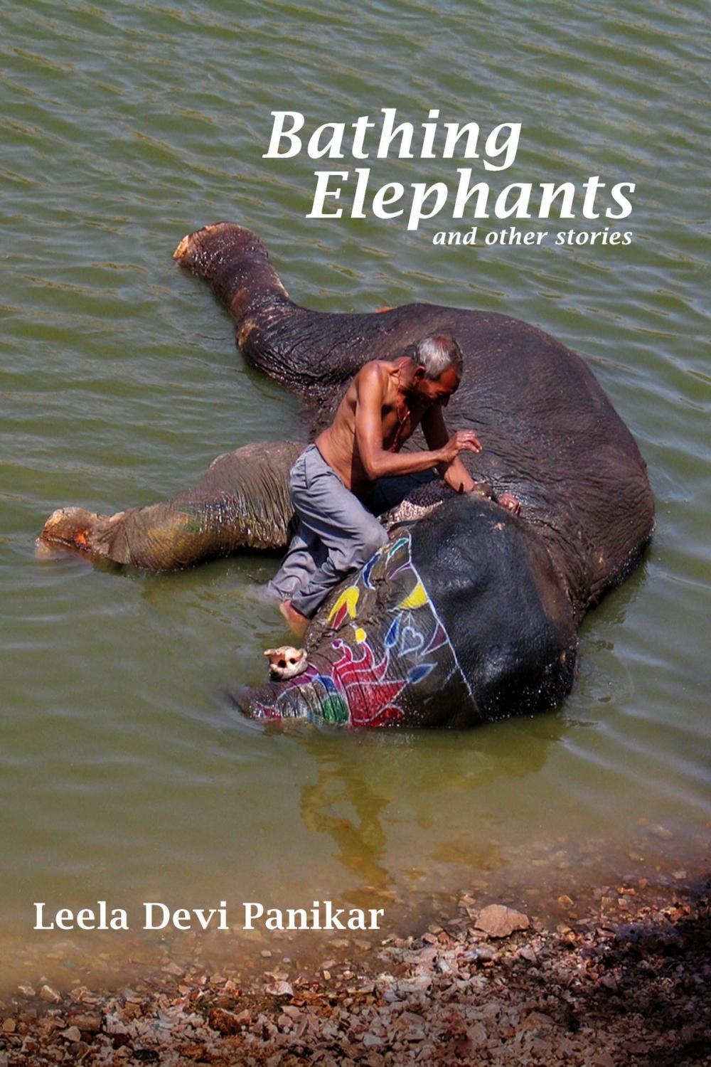 Big bigCover of Bathing Elephants