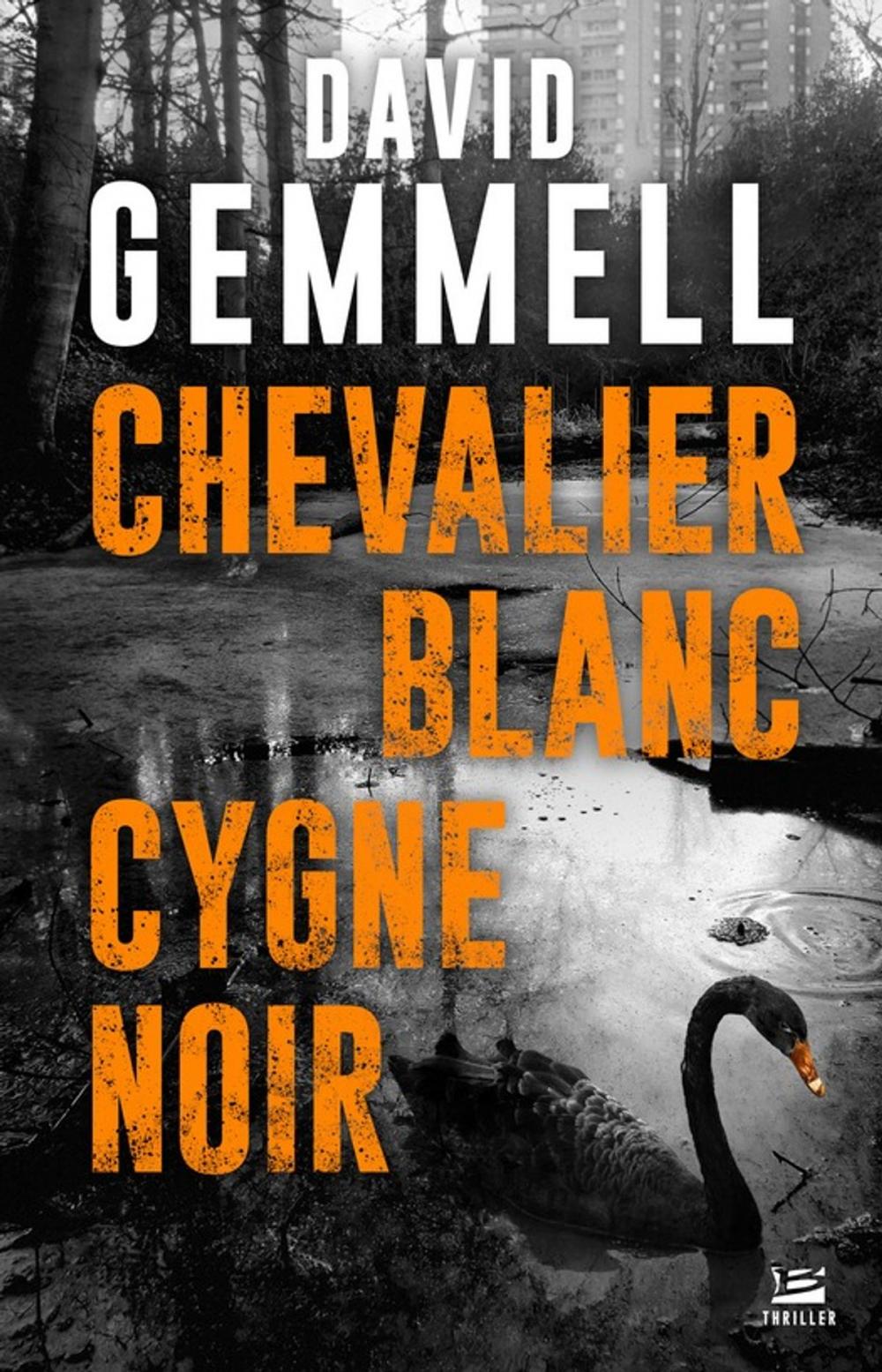 Big bigCover of Chevalier blanc, cygne noir