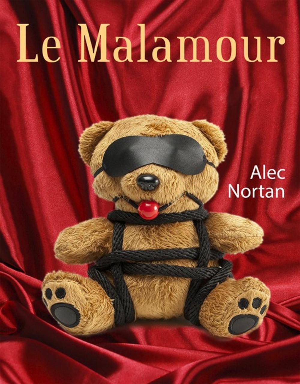 Big bigCover of Le Malamour