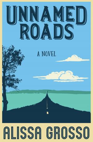 Book cover of Unnamed Roads
