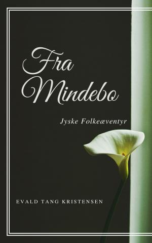 Cover of the book Fra Mindebo by Olaudah Equiano