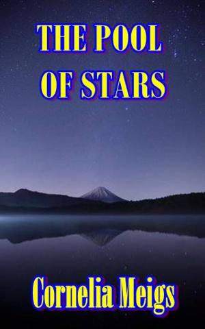 Cover of the book The Pool of Stars by Lewis E. Theiss