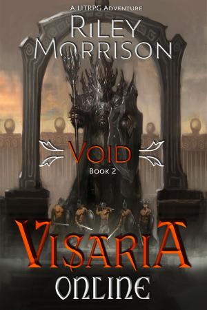 Cover of the book Visaria Online: Void by Zack Murphy