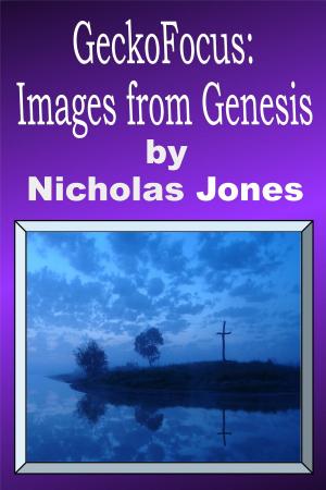 bigCover of the book GeckoFocus: Images From Genesis by 