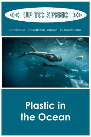 bigCover of the book Plastics in the Ocean by 