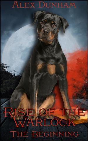 Cover of the book Rise of the Warlock: The Beginning by Richard W. Kelly