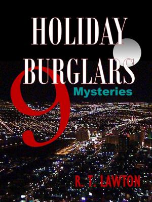 Cover of the book 9 Holiday Burglars Mysteries by Anselm Neft