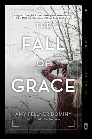 Cover of the book The Fall of Grace by Jess Keating