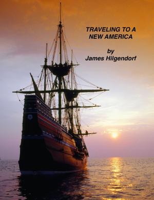 Book cover of Traveling to a New America