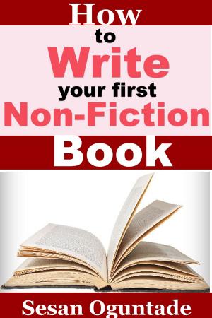Cover of the book How To Write Your First Non-Fiction Book by Darlene Craviotto