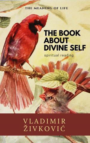 Book cover of The Book About Divine Self