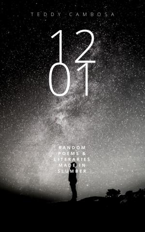 Cover of 12:01-Random Poems and Literaries Written in Slumber
