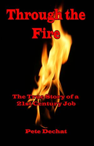Book cover of Through the Fire: The True Story of a 21st Century Job