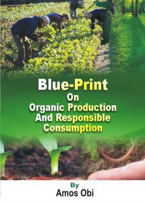 Cover of the book Blue-Print on Organic Production & Responsible Consumption by Andreas Horsch, Daniel Kaltofen