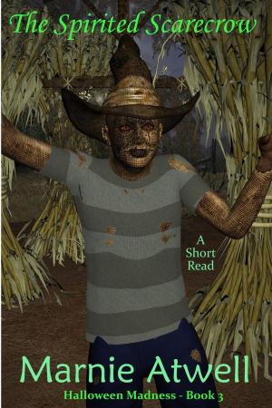 Cover of the book The Spirited Scarecrow by Craig Daley