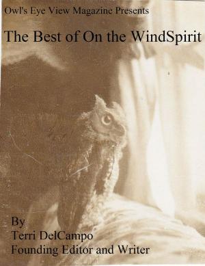 Book cover of Owl's Eye View Magazine Presents The Best of On the WindSpirit