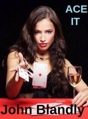 Cover of the book Ace It by Heidi Acosta