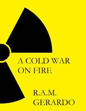 Cover of the book A Cold War On Fire by R Smith