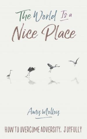 Cover of the book The World Is a Nice Place by Joan Z. Borysenko, Ph.D.