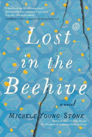 Cover of the book Lost in the Beehive by Chris Cleave