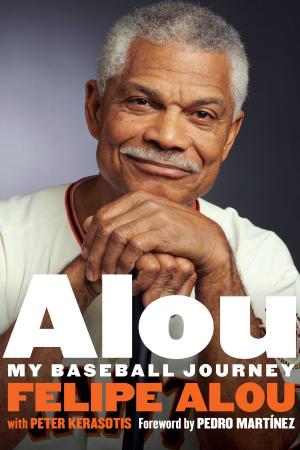 Cover of the book Alou by Steve Hanna