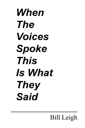 Cover of the book When the Voices Spoke This Is What They Said by Stephen Bransford