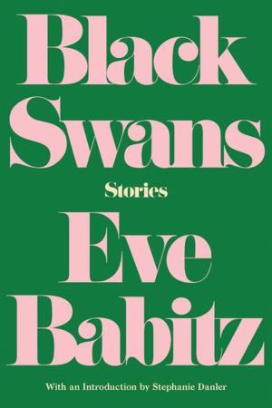 Cover of the book Black Swans by Peter Rock