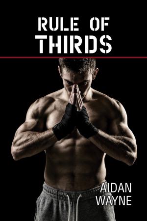Cover of the book Rule of Thirds by Amy Lane