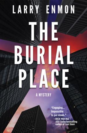 Book cover of The Burial Place