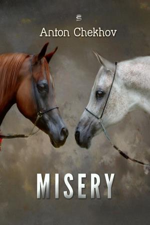Cover of the book Misery by Upton Sinclair