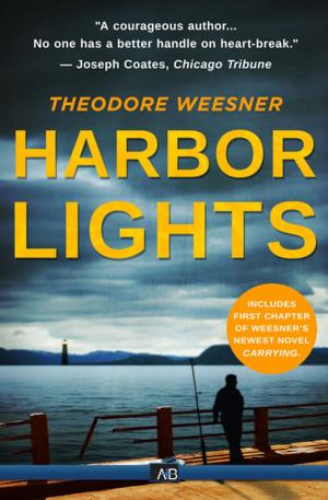 Cover of the book Harbor Lights by Michael Gilbert