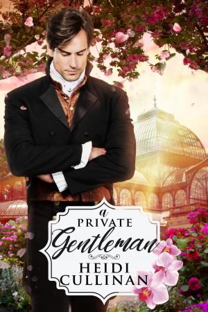 Cover of the book A Private Gentleman by Mary Jo Beswick