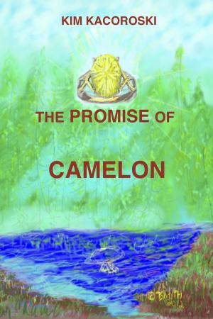 Cover of the book The Promise of Camelon by Terah Edun