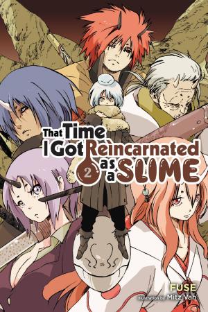 Cover of the book That Time I Got Reincarnated as a Slime, Vol. 2 (light novel) by Isuna Hasekura