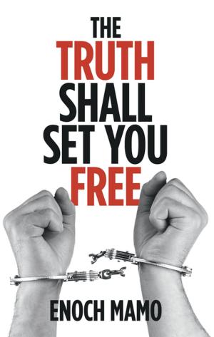 Cover of the book The Truth Shall Set You Free by Larry Pollock