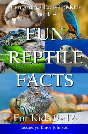 Cover of the book Fun Reptile Facts for Kids 9-12 by Frank BSC. Navratil