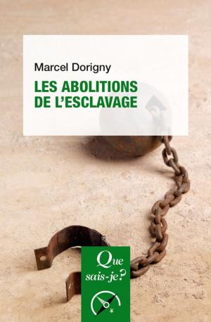 Cover of the book Les abolitions de l'esclavage by Gabriel Wahl