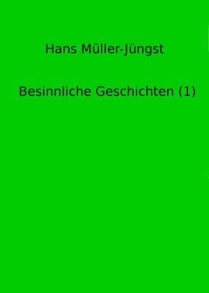 Cover of the book Besinnliche Geschichten (1) by Dr. Hanspeter Hemgesberg