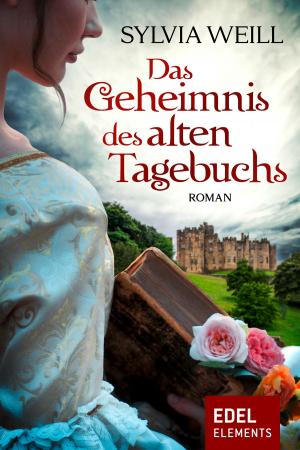 Book cover of Das Geheimnis des alten Tagebuchs