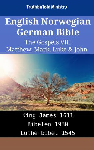 Cover of English Norwegian German Bible - The Gospels VIII - Matthew, Mark, Luke & John