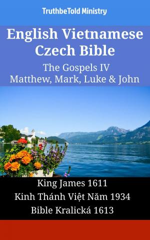 Book cover of English Vietnamese Czech Bible - The Gospels II - Matthew, Mark, Luke & John