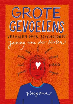 Cover of the book Grote gevoelens by Willy Corsari